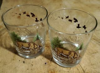 2 (two) Buck Deer Forest Scene 4 " Tall Vintage Drinking Glasses 3 - 1/2 " Wide