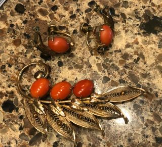 Alice Caviness Vintage Signed 12k Gold Filled Coral Brooch And Earrings