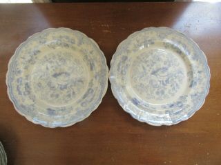 2 Vintage C A & Sons Staffordshire Lt Blue Transferware Asiatic Pheasants Plates