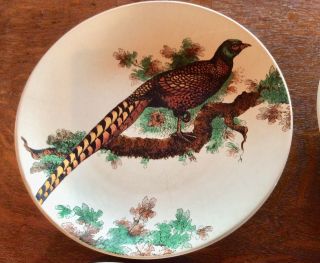 Pheasant By Noble Excellence Set Of 4 Dinner Plates Vintage Stoneware