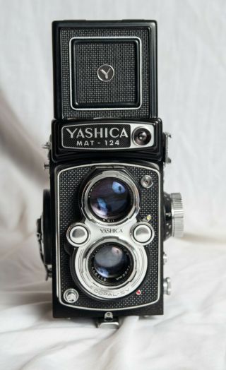 Yashica 24 Tlr,  80mm F:3.  5,  Great