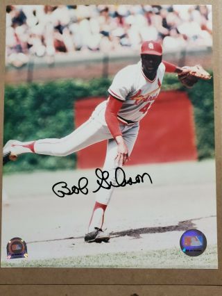 Bob Gibson Mlb Authentic Signed Autographed 8x10 Photo St Louis Cardinals