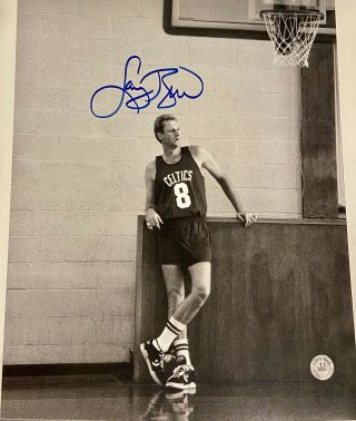 Larry Bird Auto Signed 11x14 B&w Photo Celtics 8 Huge Sig Authentic Bird Holo