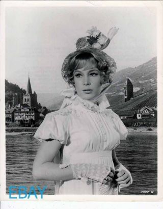 Barbara Eden Busty Sexy Wonderful World Of The Brothers Grimm Vintage Photo