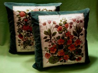 Set Of 2 Vintage Botanical Lithographs On Fabric Pillows.  6 Plants.  Velour Backs