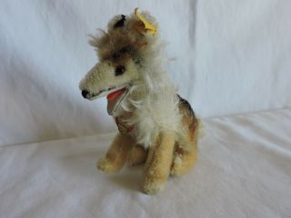 Steiff Vintage German Mohair Collie Dog With Tags