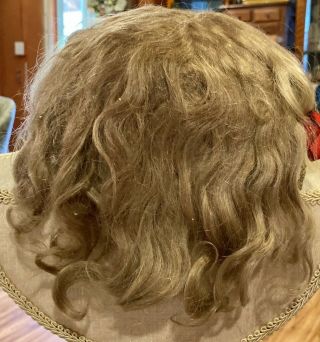 A16 Antique Finest 12 - 13 " Ashe Blond Mohair Wig For Antique Bisque Doll