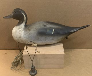 Vintage Drake Pintail Duck Decoy With Weight.  Duck Hunting