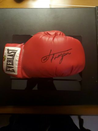 Joe Frazier Signed Everlast Boxing Glove Boxing Autograph With