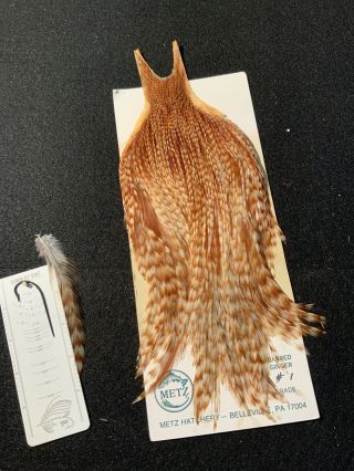 Vintage Metz 1 Grade Barred Ginger Saddle Feathers Fly Tying