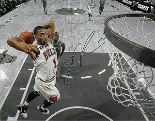 Derrick Rose Chicago Bulls Signed 11x14 Photo Lom (ph5332)