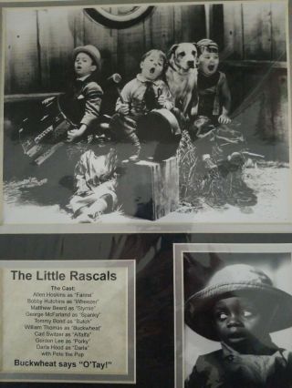 Vintage Little Rascals " Our Gang " Buckwhea Photo Matted Display
