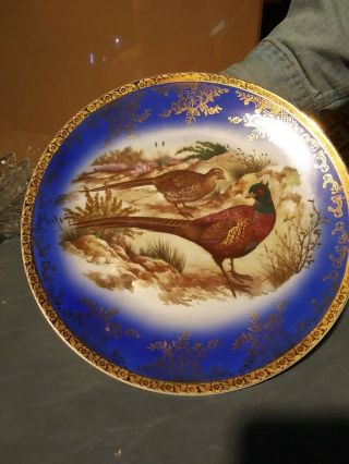 Vtg Stw Bavaria Germany Cobalt Blue & Gold Pheasant Two Birds Large Plate Great