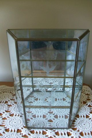 Vintage Brass And Glass Wall Display Case Curio