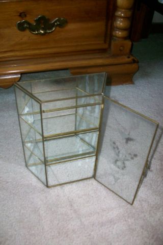 Vintage Brass and Glass Wall Display Case Curio 3