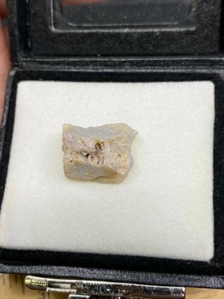 Lovely Opalized Fossil Bone In Case - 1.  2 Grams - Vintage Estate Find