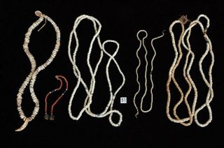 5 Old Vintage Shell & Trade Bead Necklaces Primitive Money Guinea Ref 51