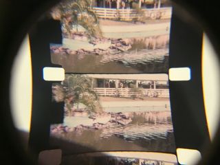 16mm Home Movies 4 Reels 1940’s 1950’s Color - Reunions,  Parties,  Zoo,  Florida 3” 3