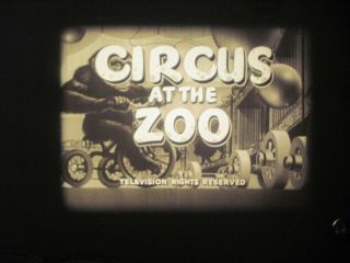 16 Mm B & W Sound Castle Films 630 Circus At The Zoo 1952