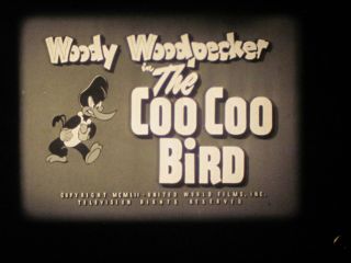 16 Mm B&w Sound Castle Films Woody Woodpecker Cartoon Coo - Coo Bird 1952