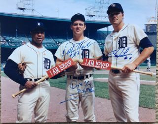 1968 Detroit Tigers Autographed By3 8x10 Bill Freehan Willie Horton Mclain Denny