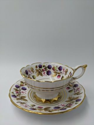 Vintage Royal Stafford " Golden Bramble " Bone China Porcelain Teacup And Saucer