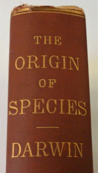 On The Origin Of Species By Means Of Natural Selection By Charles Darwin - 1882