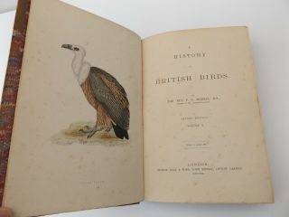 1870 A HISTORY of BRITISH BIRDS 2nd Ed.  by F.  O.  Morris 6Vol Hand Coloured Plates 3