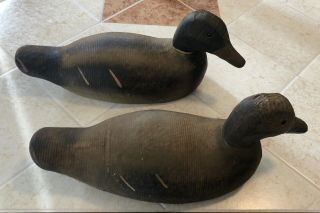 Vintage Animal Trap Company Hand Carved Duck Decoys Glass Eyes