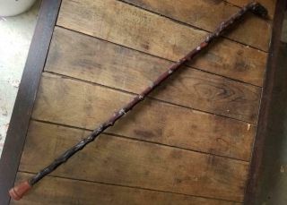 Vintage Irish Blackthorn Shillelagh Cane Walking Stick 2