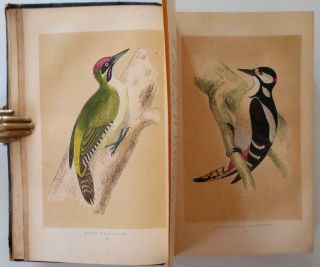 1851 - 61 First Ed.  Morris History Of British Birds Vol.  1 - 5 Ornithology 296 Plates