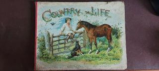 Vintage Raphael Tuck & Sons Country Life 1896 6 Tier Colour Lithodimension Scene