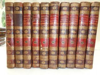 1797 Buffon Natural History Theory Of The Earth 10 Vols Plates