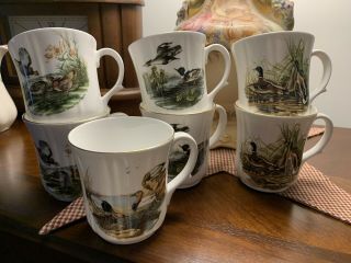 Set Of 7 Vintage Duchess Bone China England John James Audubon Birds Cups Mugs
