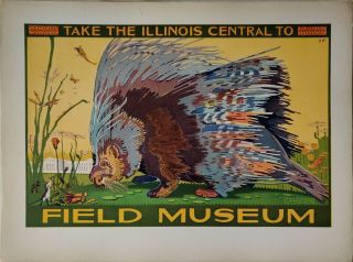 Research Design In Nature Field Museum Of Natural History Portfolio Chicago 1925
