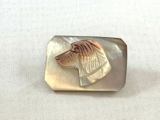 Carved Mother Of Pearl Dog Pin