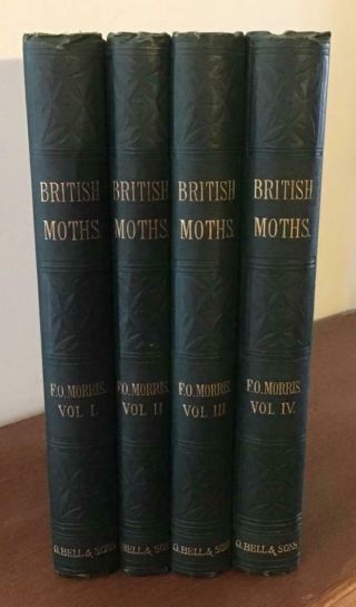 1872 A Natural History Of British Moths By F O Morris 4 X Vol Set 132 X Plates