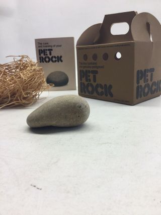 Vintage 1975 Pet Rock With Carton Bedding And Instruction Booklet 3
