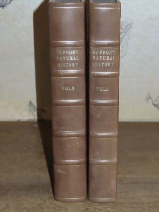 1821 Buffon Natural History Vols I Ii By Hutton 100 Plates Birds Butterflies