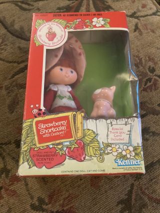 Strawberry Shortcake Doll With Custard Kenner 1982 43020