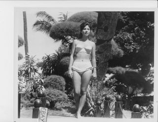 Marlene Among Busty Leggy Vintage Photo Tiko And The Shark Italy