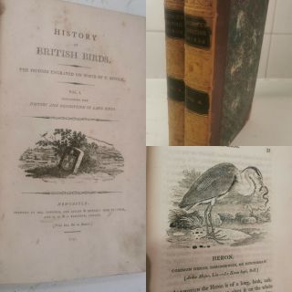 History Of British Birds.  Thomas Bewick.  1797 - 1804.  1st Edition.  1st Print.