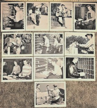 11 Vtg Photos/mini Posters/pictures Of Post Office Workers/ Mailman/postman 50 