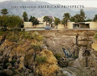 American Prospects,  Hardcover By Sternfeld,  Joel (pht) ; Brougher,  Kerry; Grun.