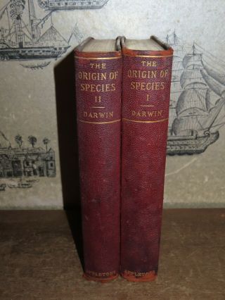 1896 The Origin Of The Species By Charles Darwin 2 Vols Natural Selection Us Ed