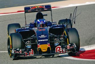 Max Verstappen Signed 8x12 Inches 2016 Toro Rosso F1 Bahrain Gp Photo