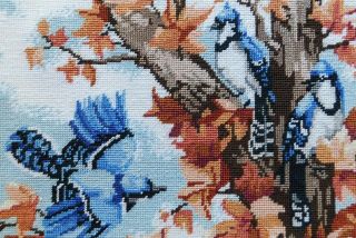 Vintage Autumn Maple Trees Blue Jay Birds Needlepoint Picture Framed 2