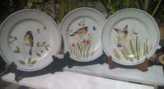 Vintage Fitz & Floyd Oiseau Salad Plate Discontinued