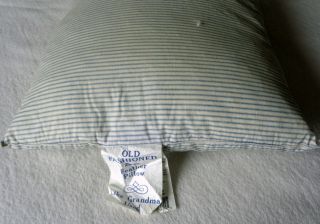 Vintage Pacific Coast Duck Feather Pillow Down Standard Blue White Striped Tick