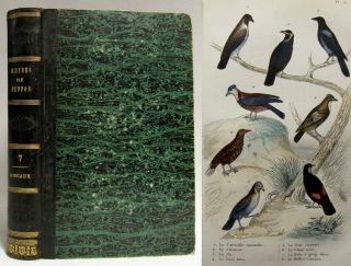 Antique 1849 Natural History Birds Ornithology Buffon 21 Hand Colored Plates